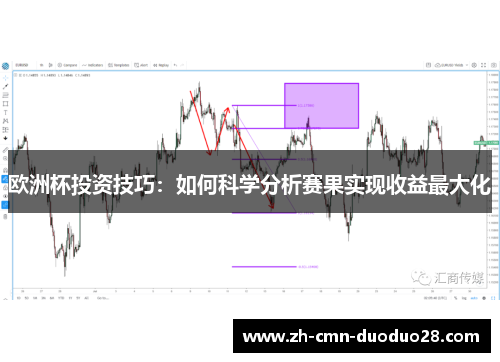 欧洲杯投资技巧：如何科学分析赛果实现收益最大化