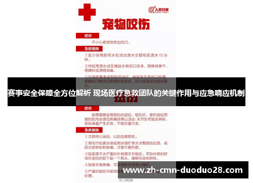 赛事安全保障全方位解析 现场医疗急救团队的关键作用与应急响应机制 赛事安全保障全方位解析 现场医疗急救团队的关键作用与应急响应机制